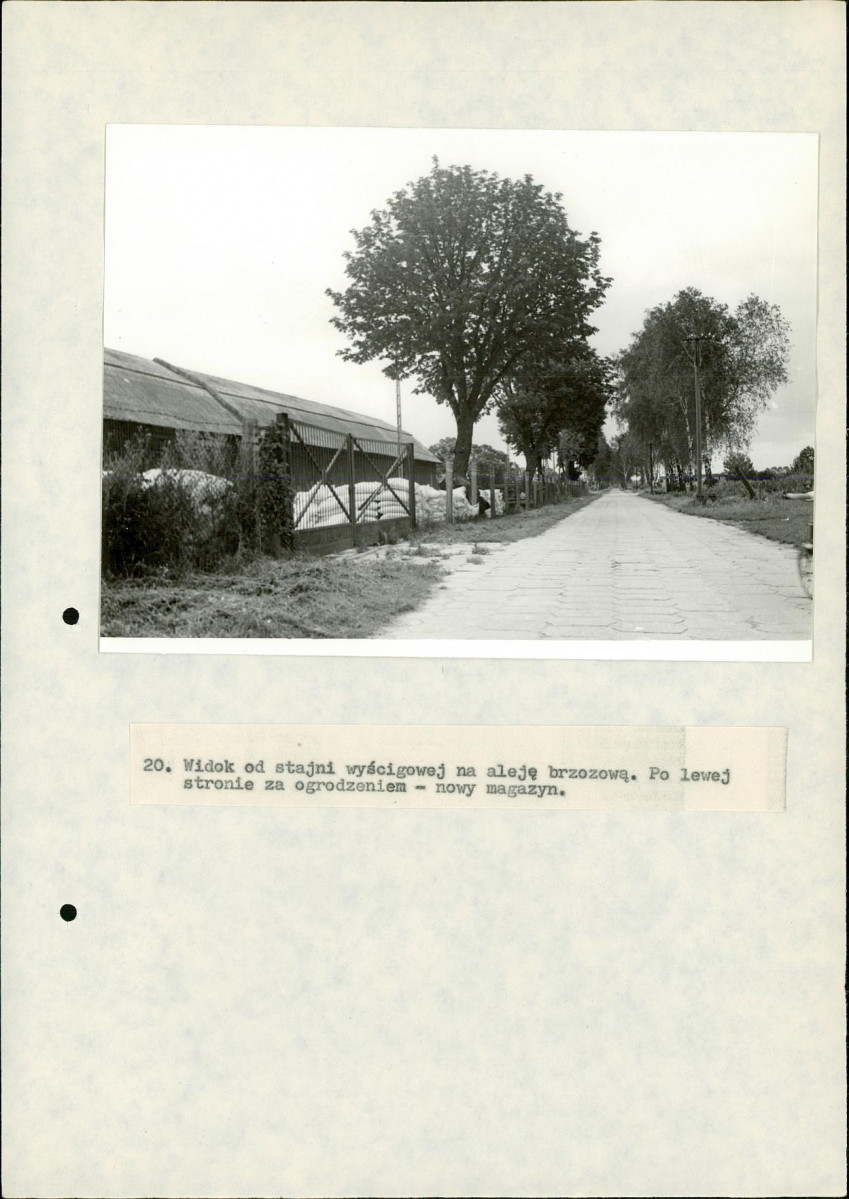 EP - Ewidencja parkowa, skan nr 66