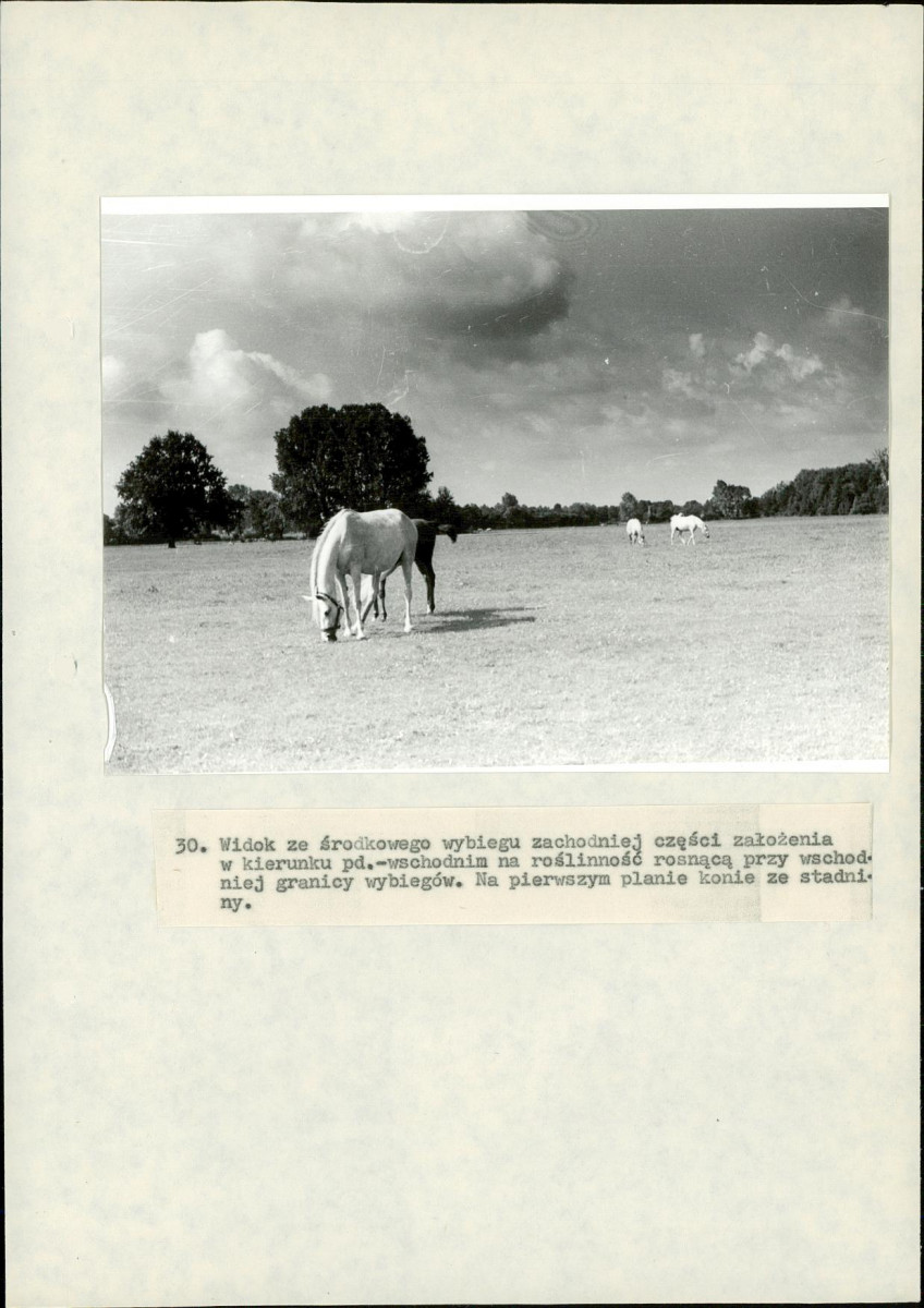 EP - Ewidencja parkowa, skan nr 76