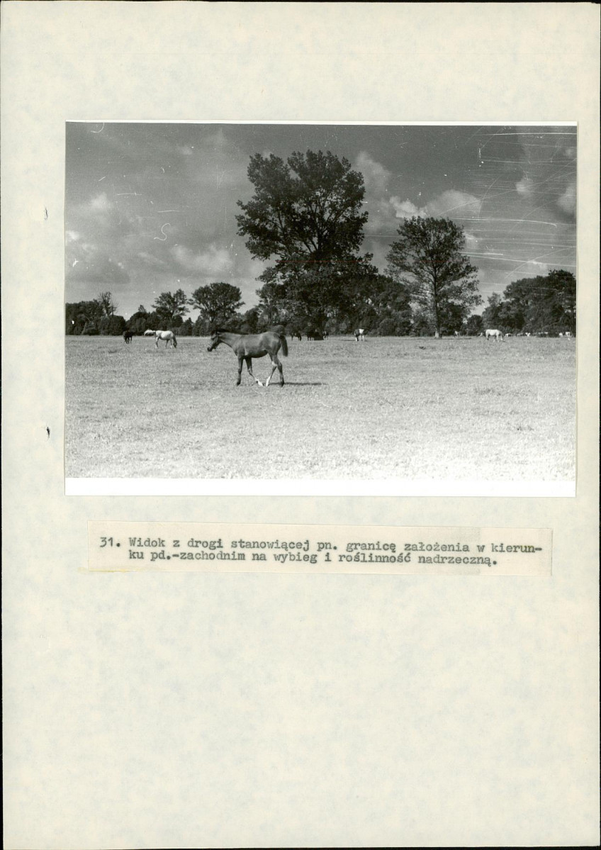 EP - Ewidencja parkowa, skan nr 77