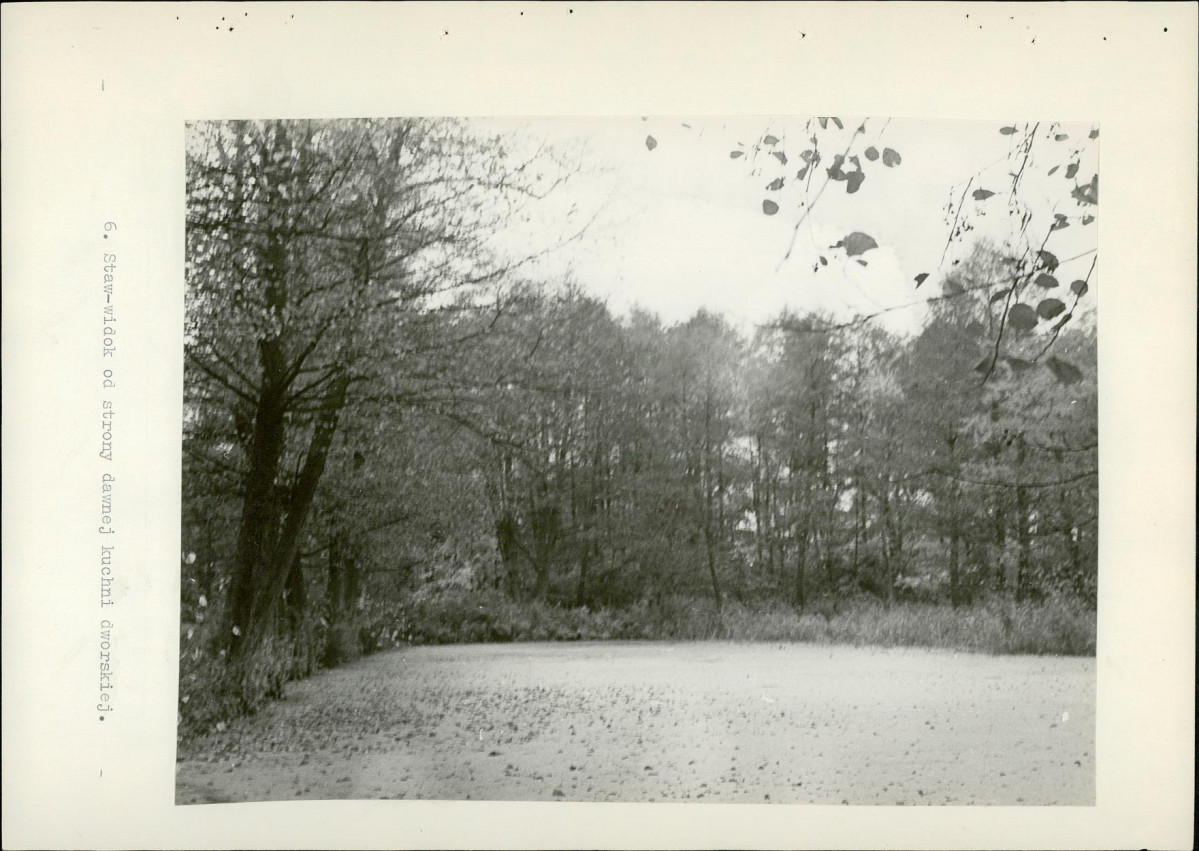 EP - Ewidencja parkowa, skan nr 27