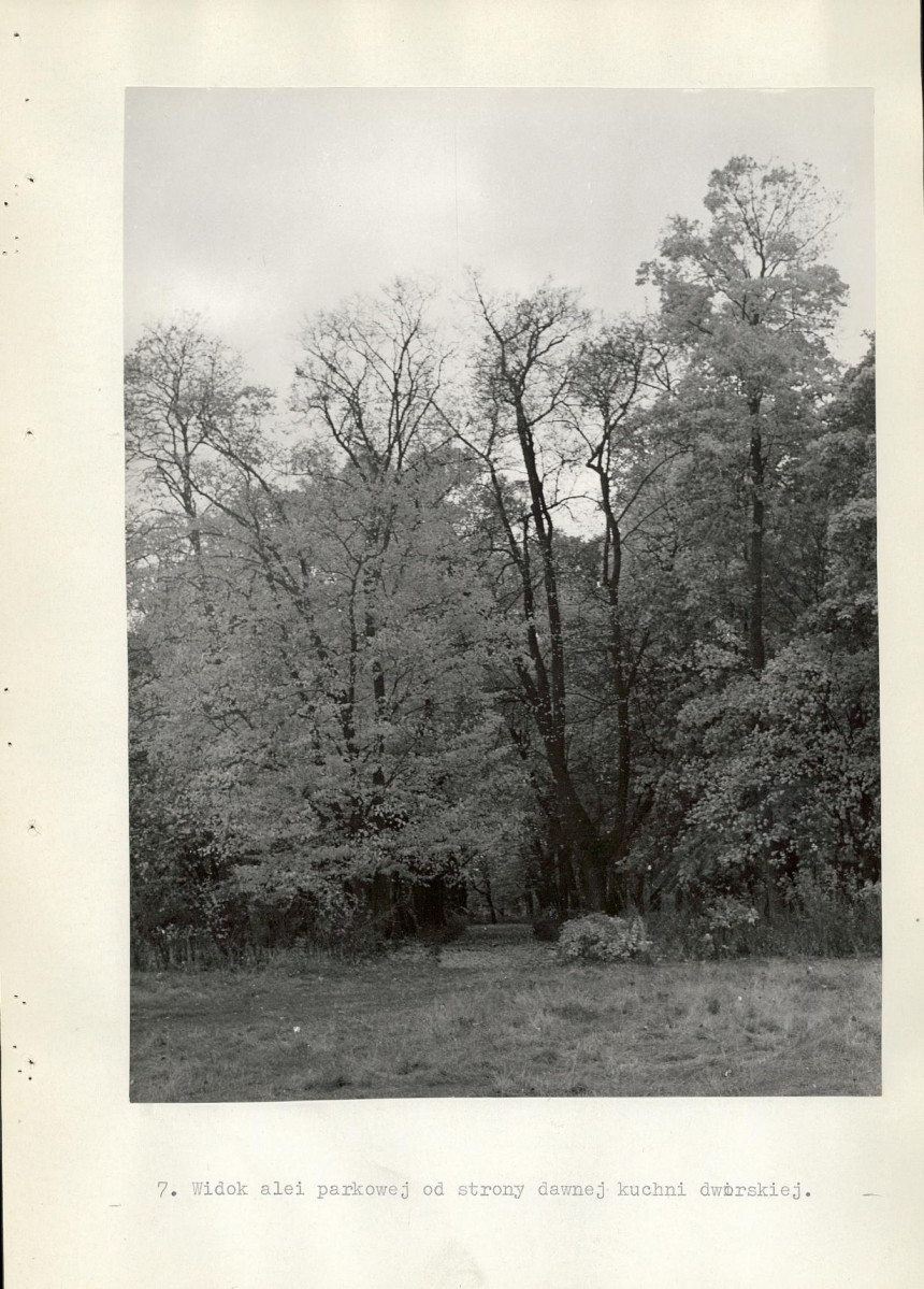 EP - Ewidencja parkowa, skan nr 28