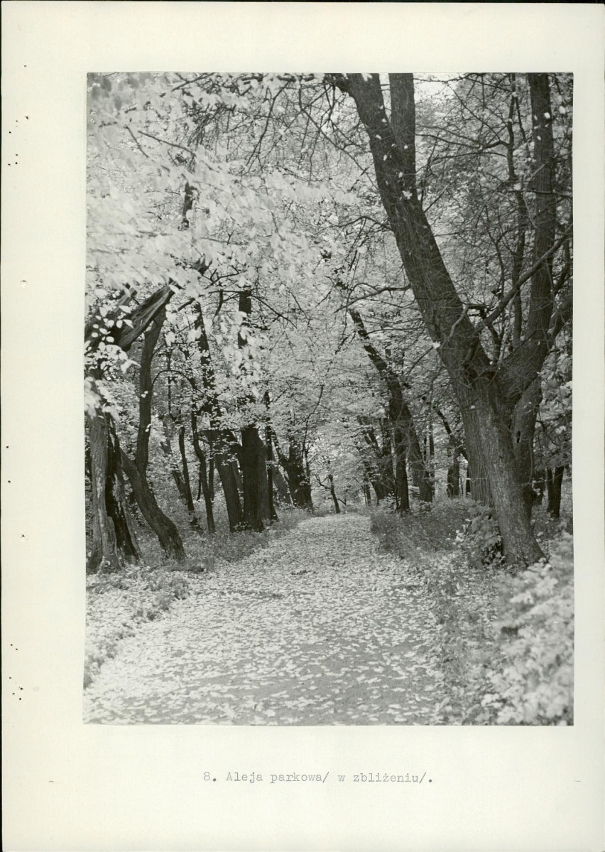 EP - Ewidencja parkowa, skan nr 29