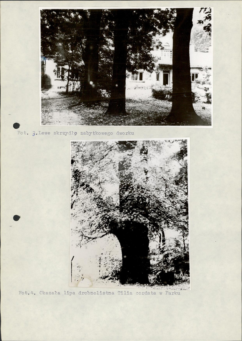 Ewidencja parkowa, skan nr 14