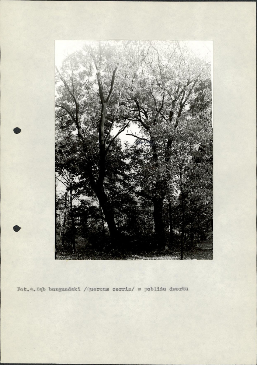 EP - Ewidencja parkowa, skan nr 18