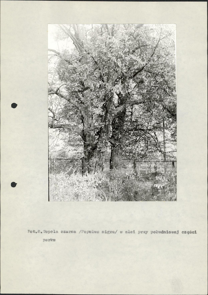 EP - Ewidencja parkowa, skan nr 21