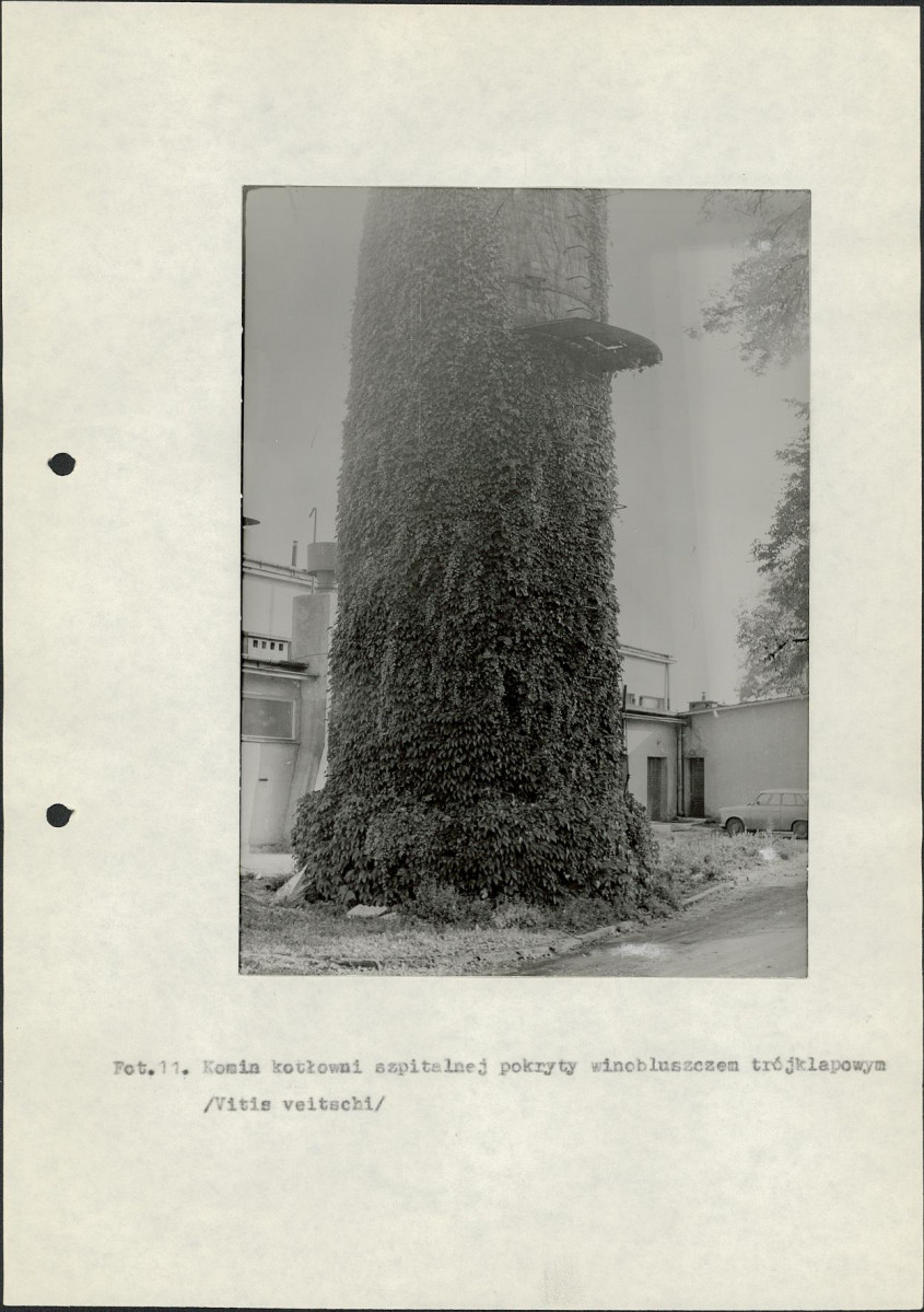 EP - Ewidencja parkowa, skan nr 24