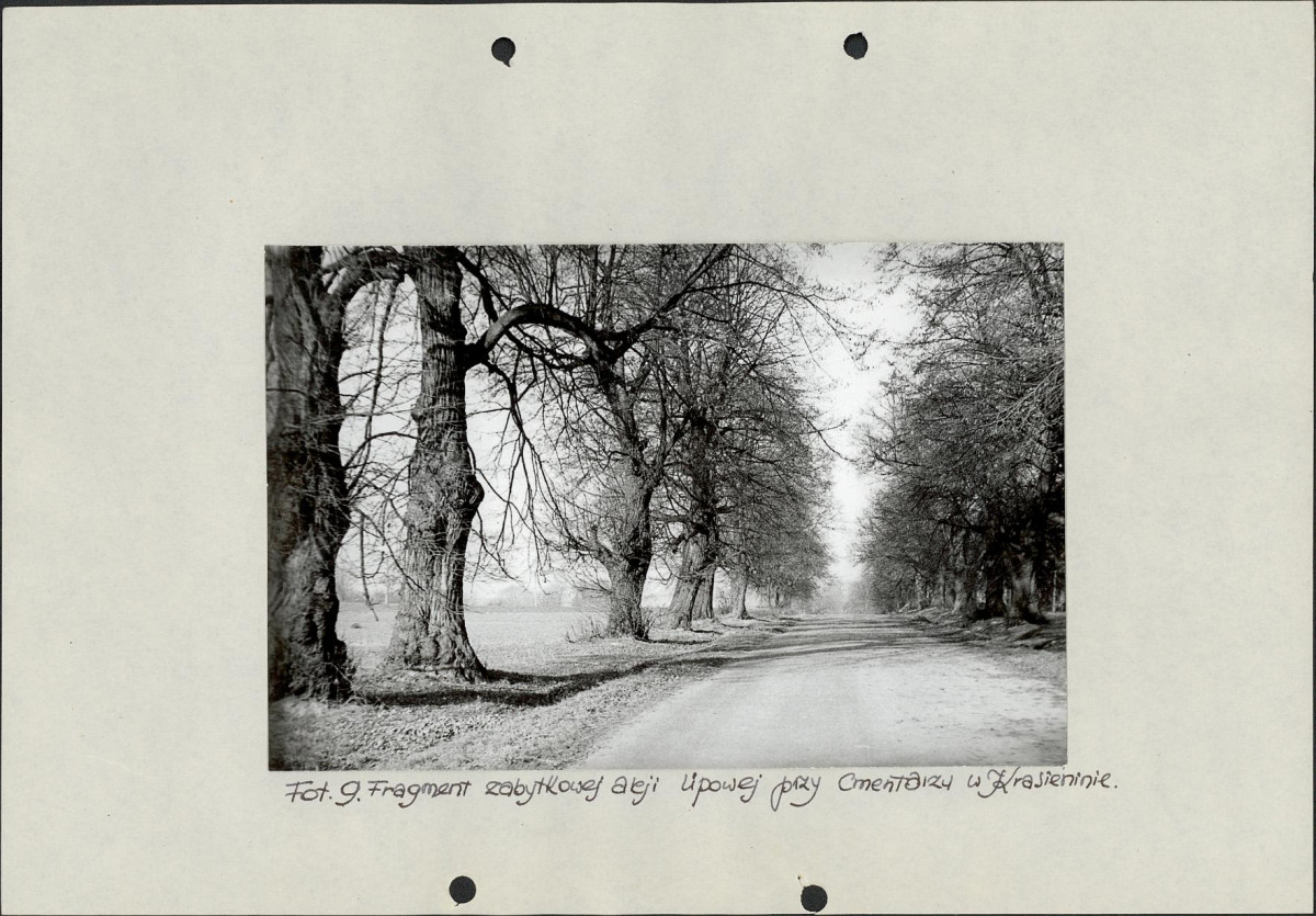 EP - Ewidencja parkowa, skan nr 27