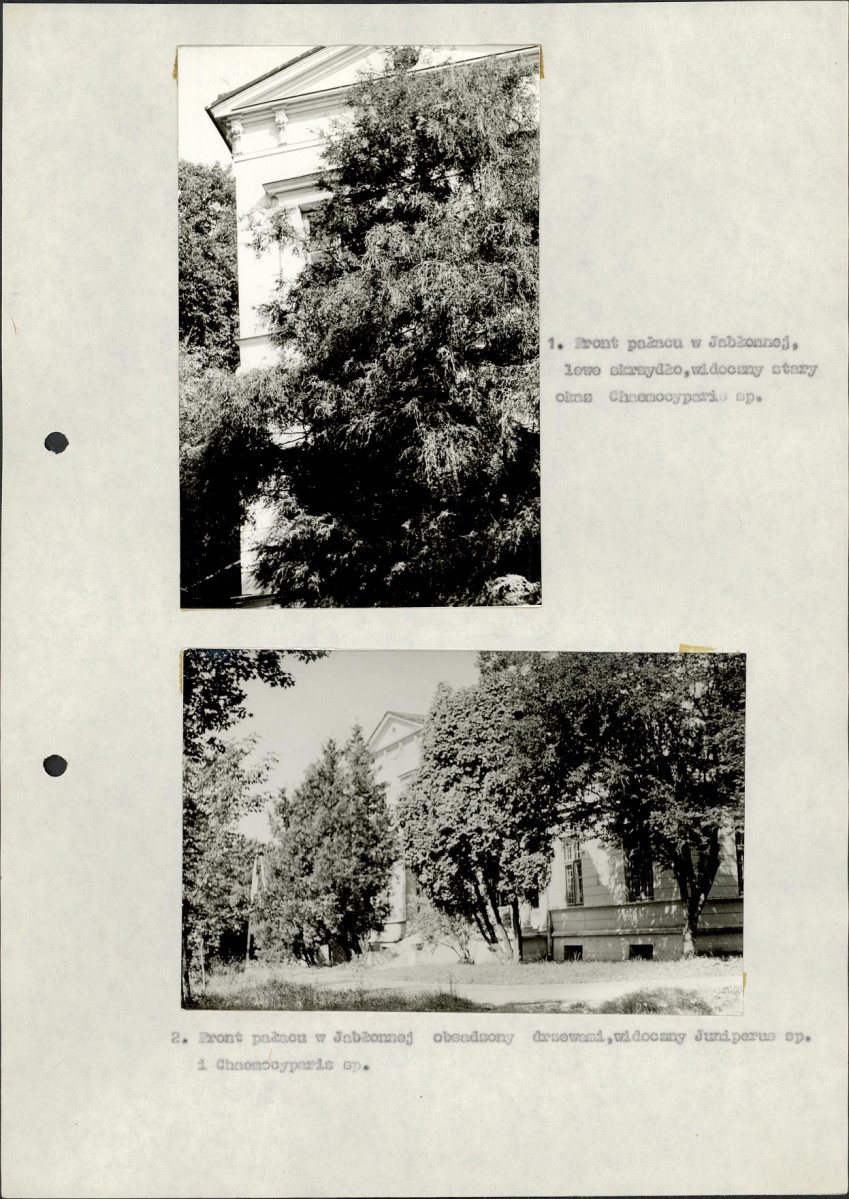 Ewidencja parkowa, skan nr 15