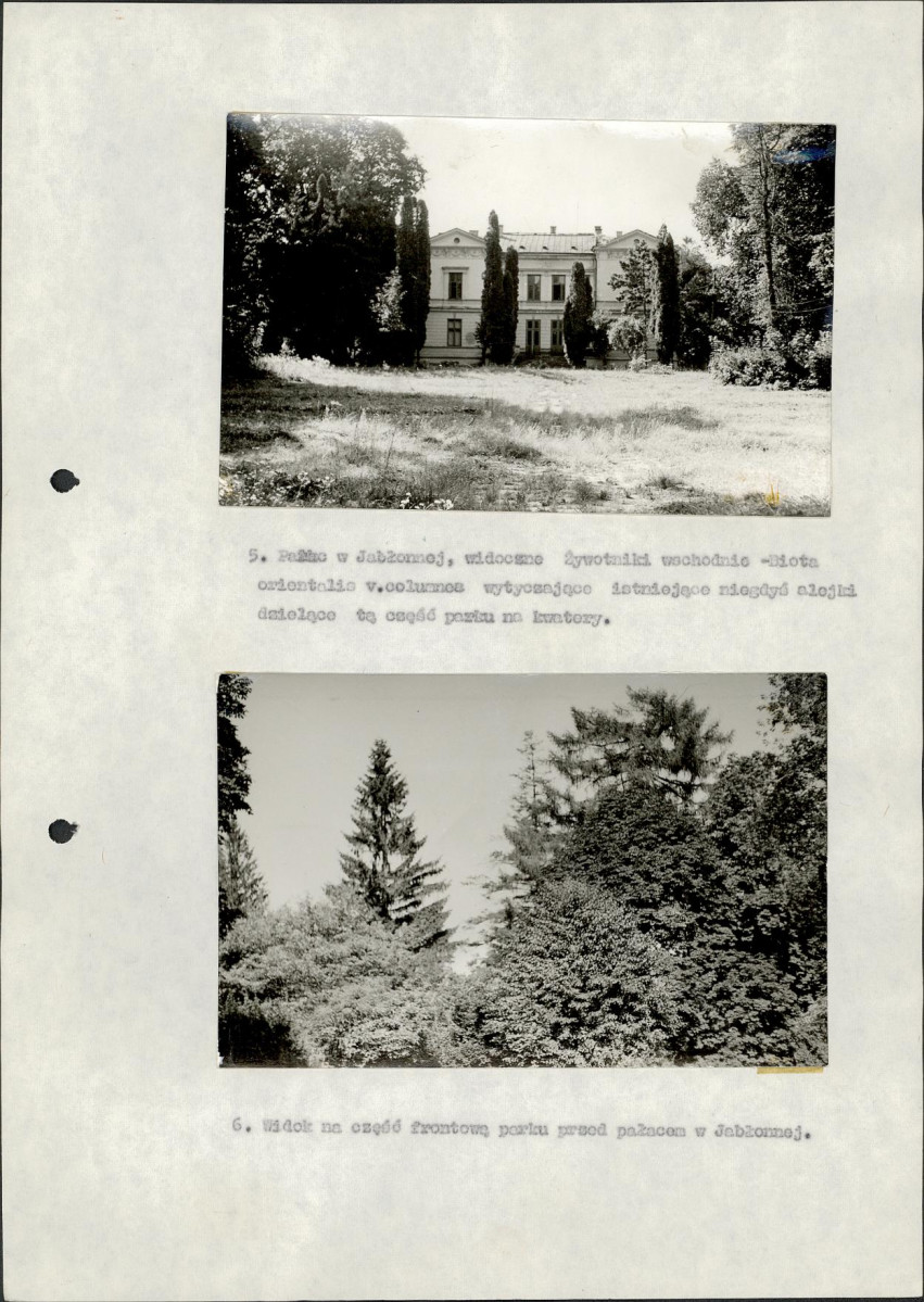 Ewidencja parkowa, skan nr 17