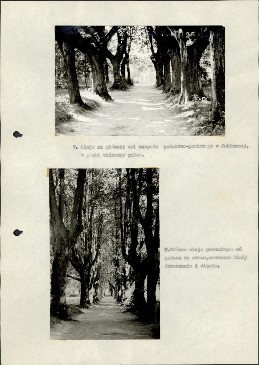 Ewidencja parkowa, skan nr 18