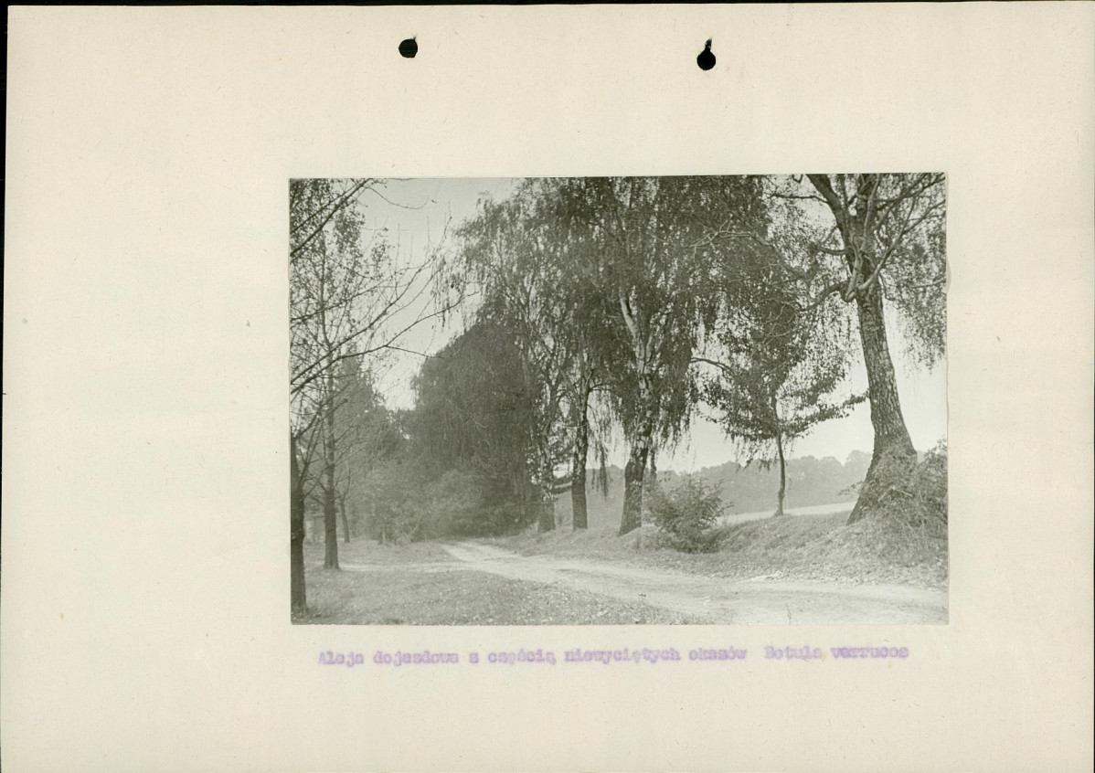 Ewidencja parkowa, skan nr 12