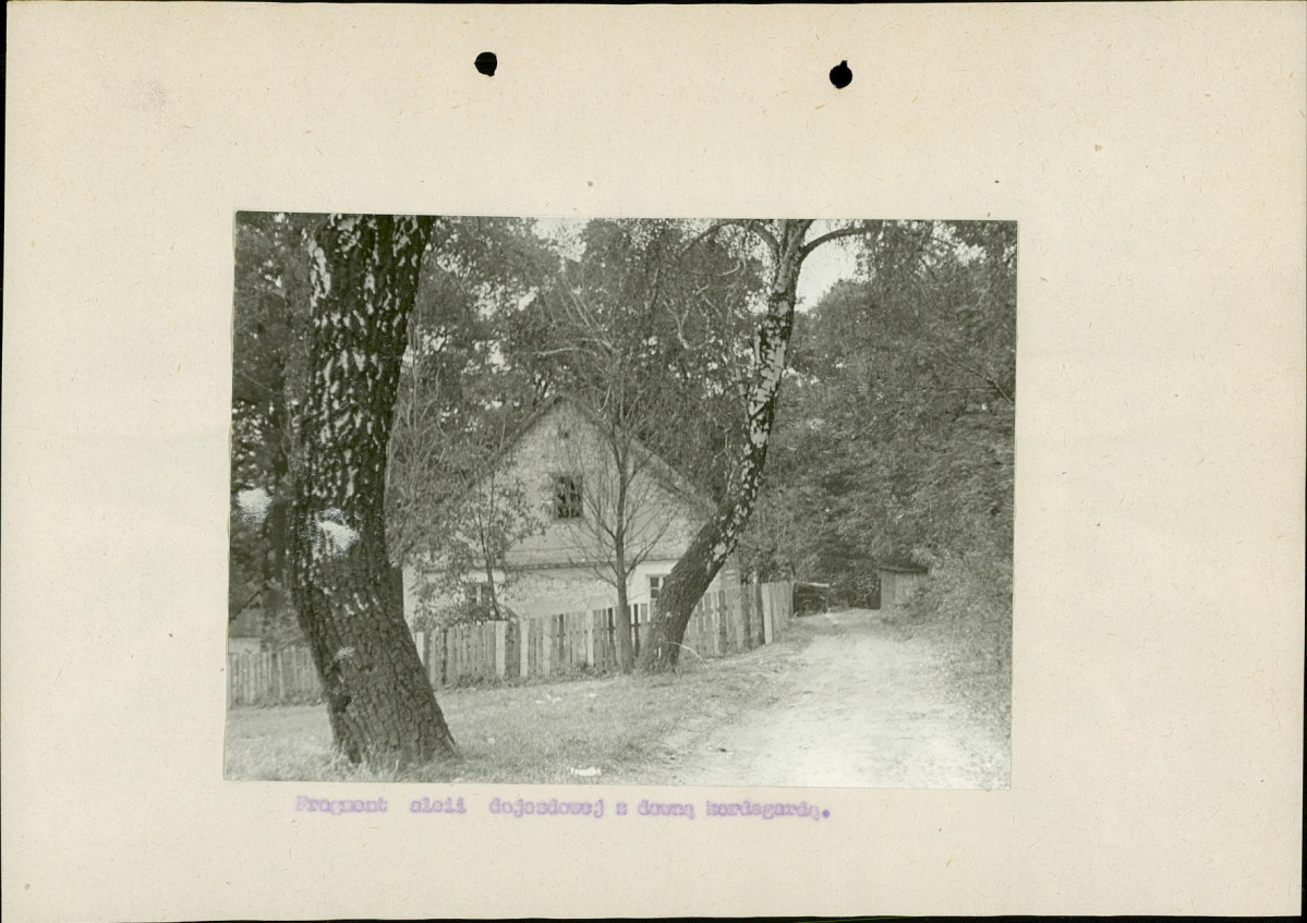 Ewidencja parkowa, skan nr 13