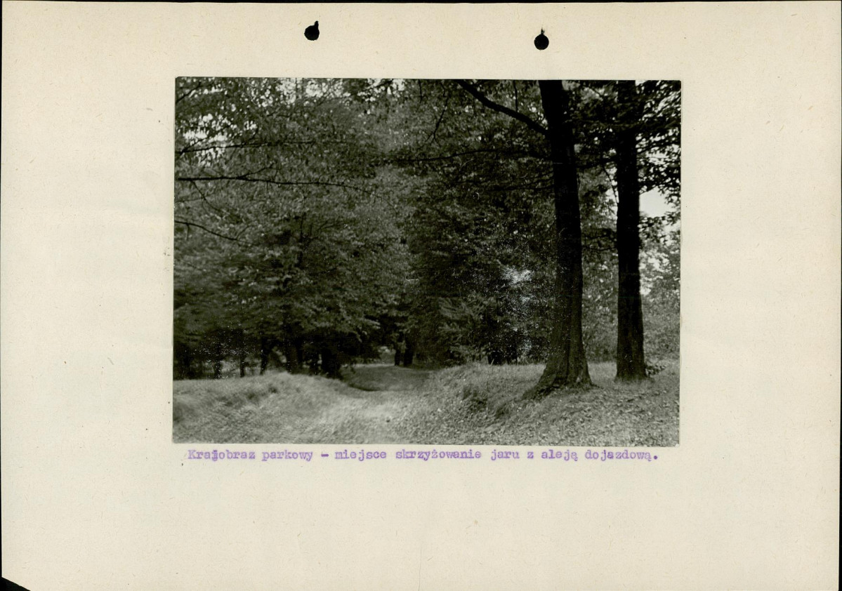 Ewidencja parkowa, skan nr 20