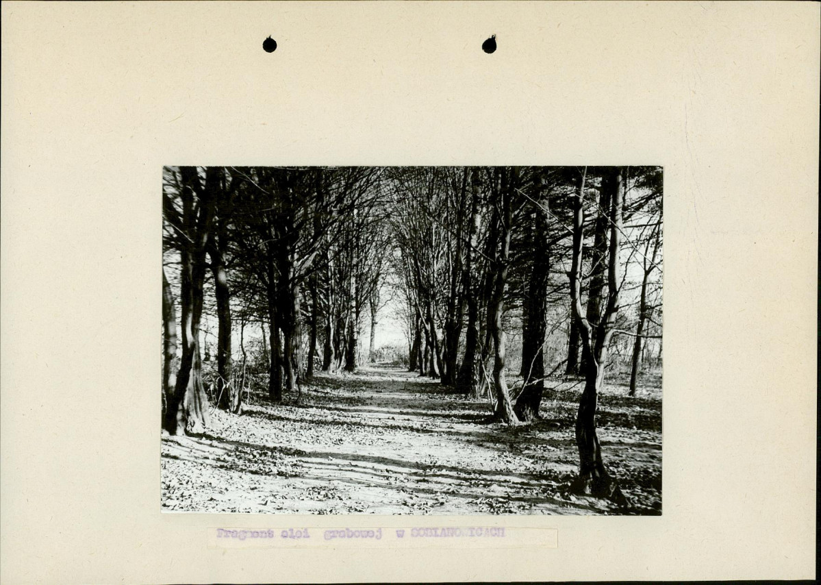 Ewidencja parkowa, skan nr 15