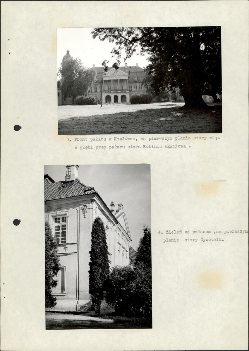 Ewidencja parkowa, skan nr 22