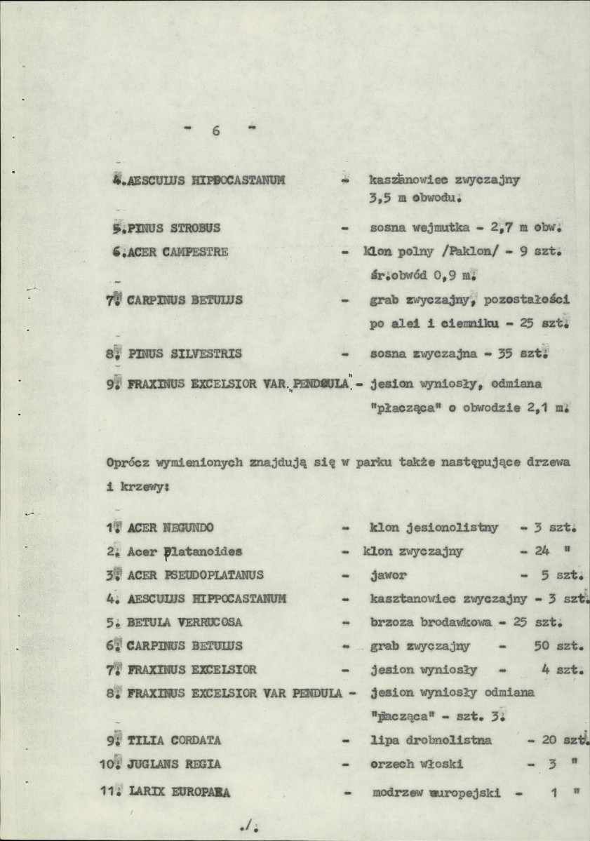 Ewidencja parkowa, skan nr 13