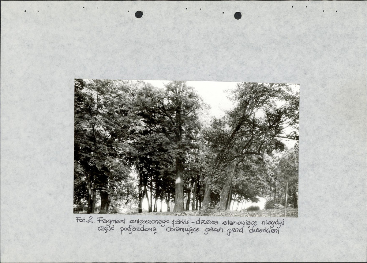 Ewidencja parkowa, skan nr 20