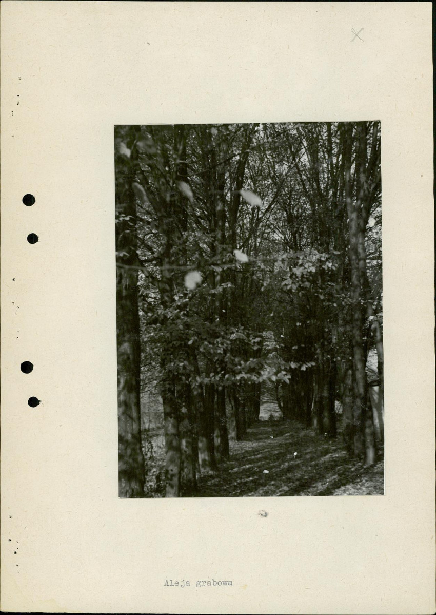 Ewidencja parkowa, skan nr 27