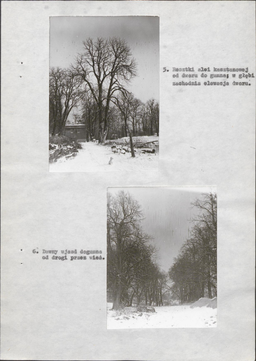 Ewidencja parkowa, skan nr 20