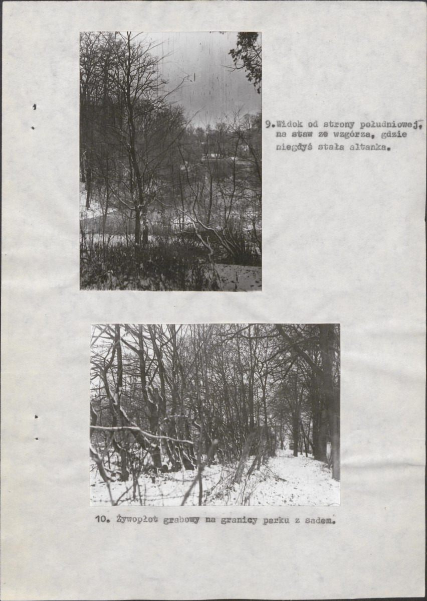 Ewidencja parkowa, skan nr 22