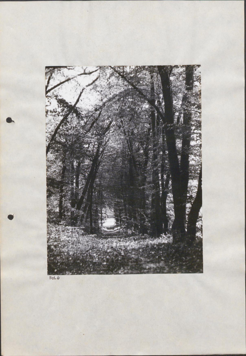 EP - Ewidencja parkowa, skan nr 32