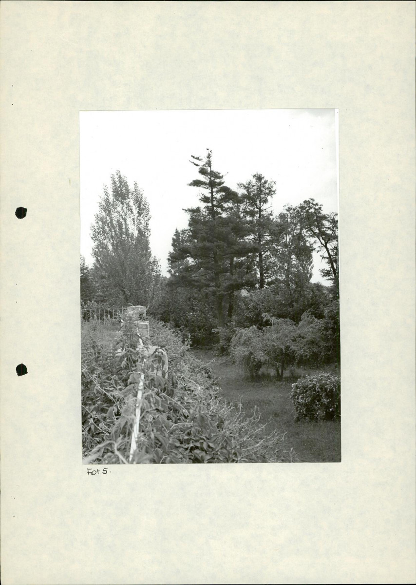 Ewidencja parkowa, skan nr 33