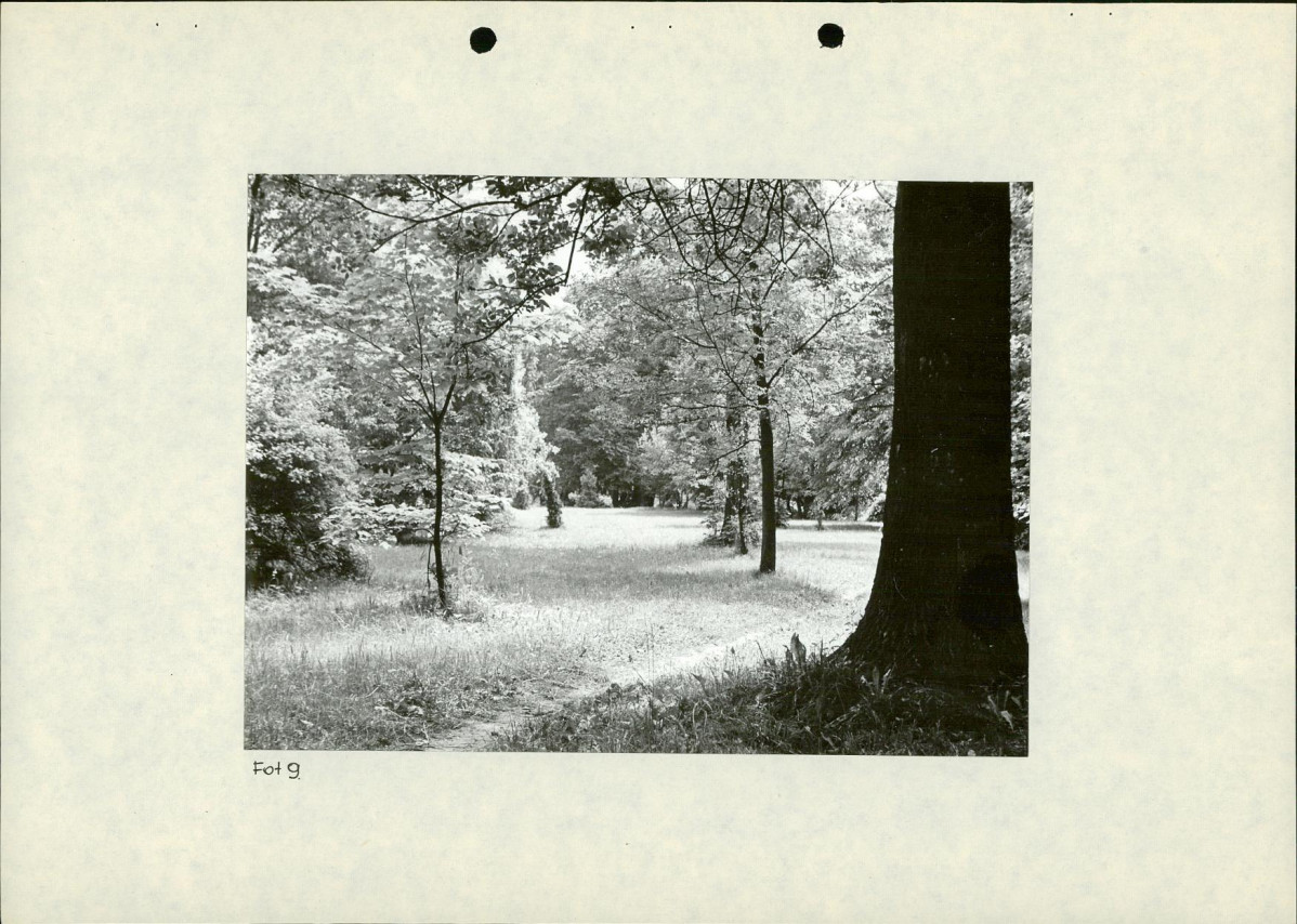 Ewidencja parkowa, skan nr 36