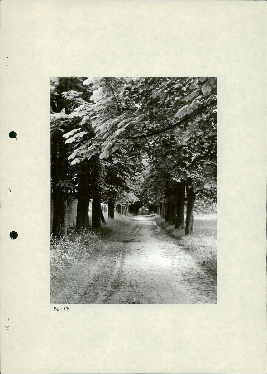 Ewidencja parkowa, skan nr 41