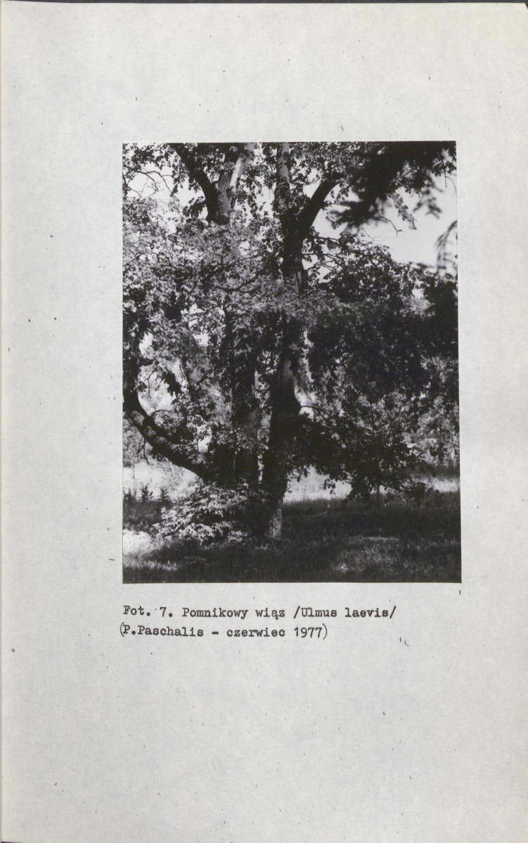 EP - Ewidencja parkowa, skan nr 25
