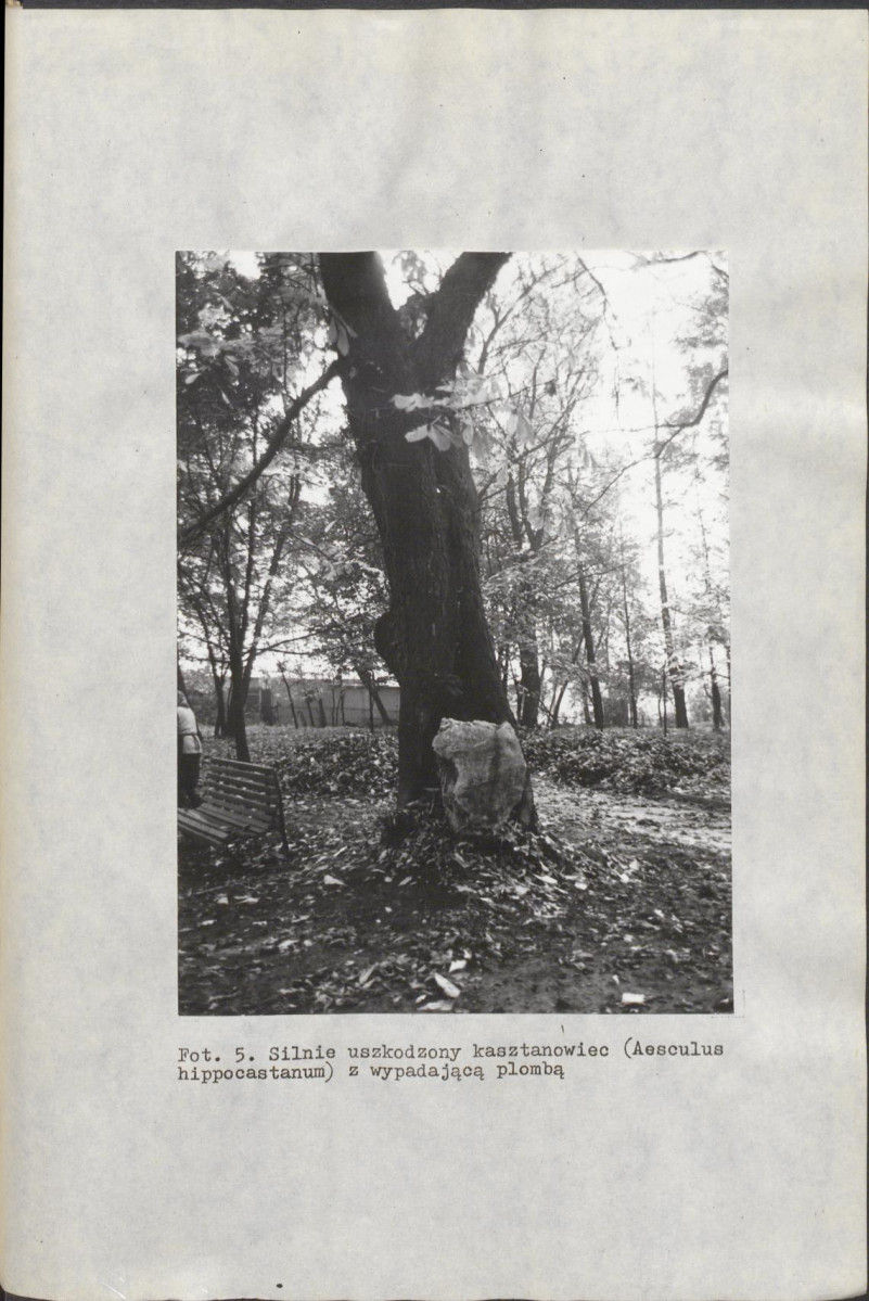 EP - Ewidencja parkowa, skan nr 39