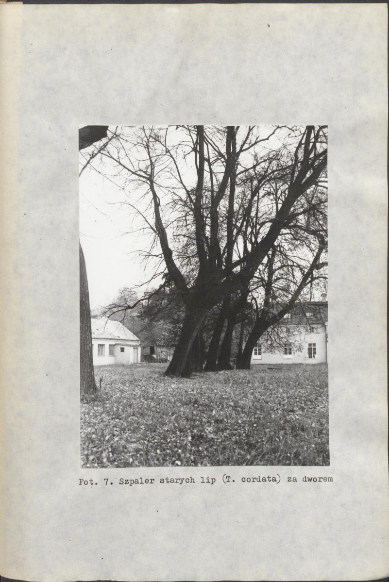 EP - Ewidencja parkowa, skan nr 41