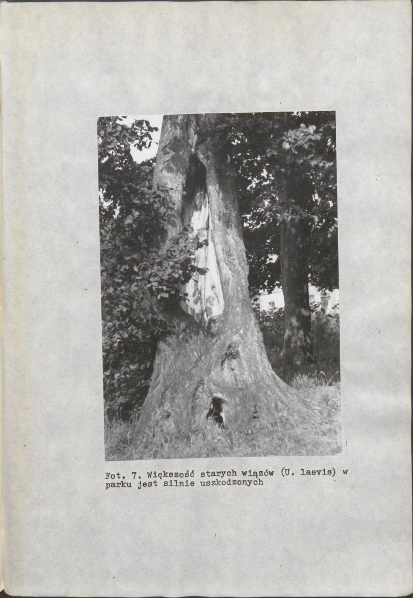 EP - Ewidencja parkowa, skan nr 32