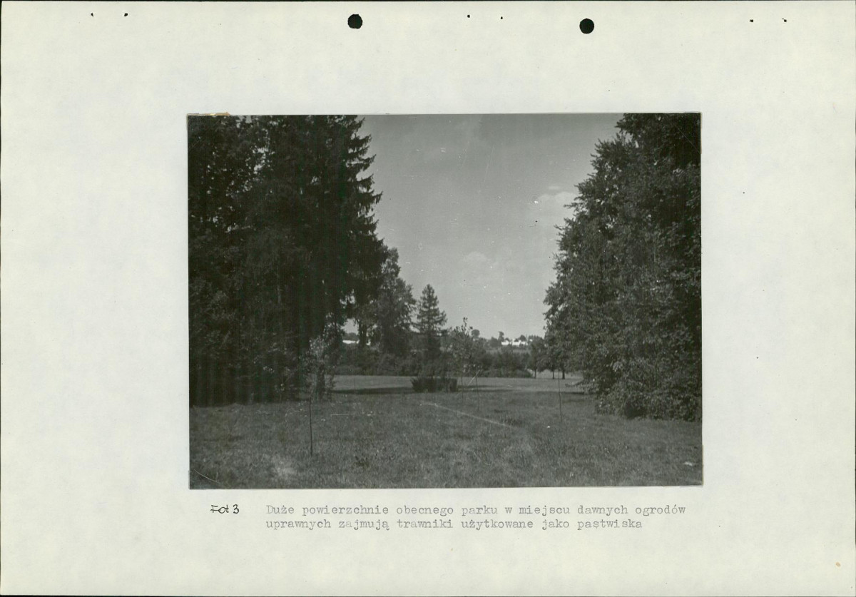 Ewidencja parkowa, skan nr 26