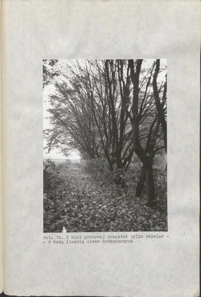 EP - Ewidencja parkowa, skan nr 48