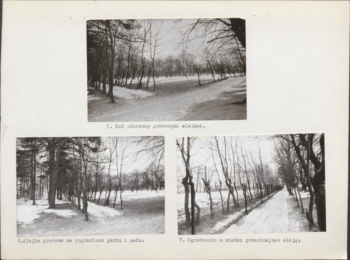 Ewidencja parkowa, skan nr 8