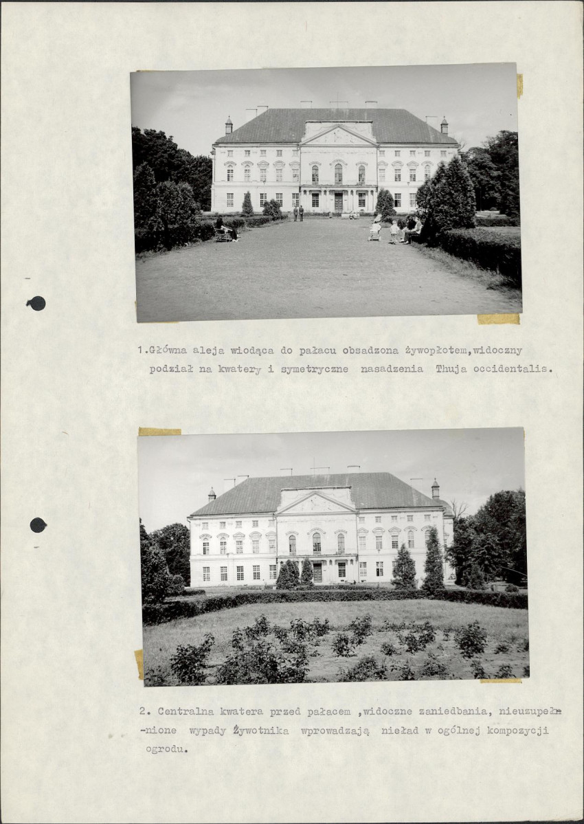 Ewidencja parkowa, skan nr 19