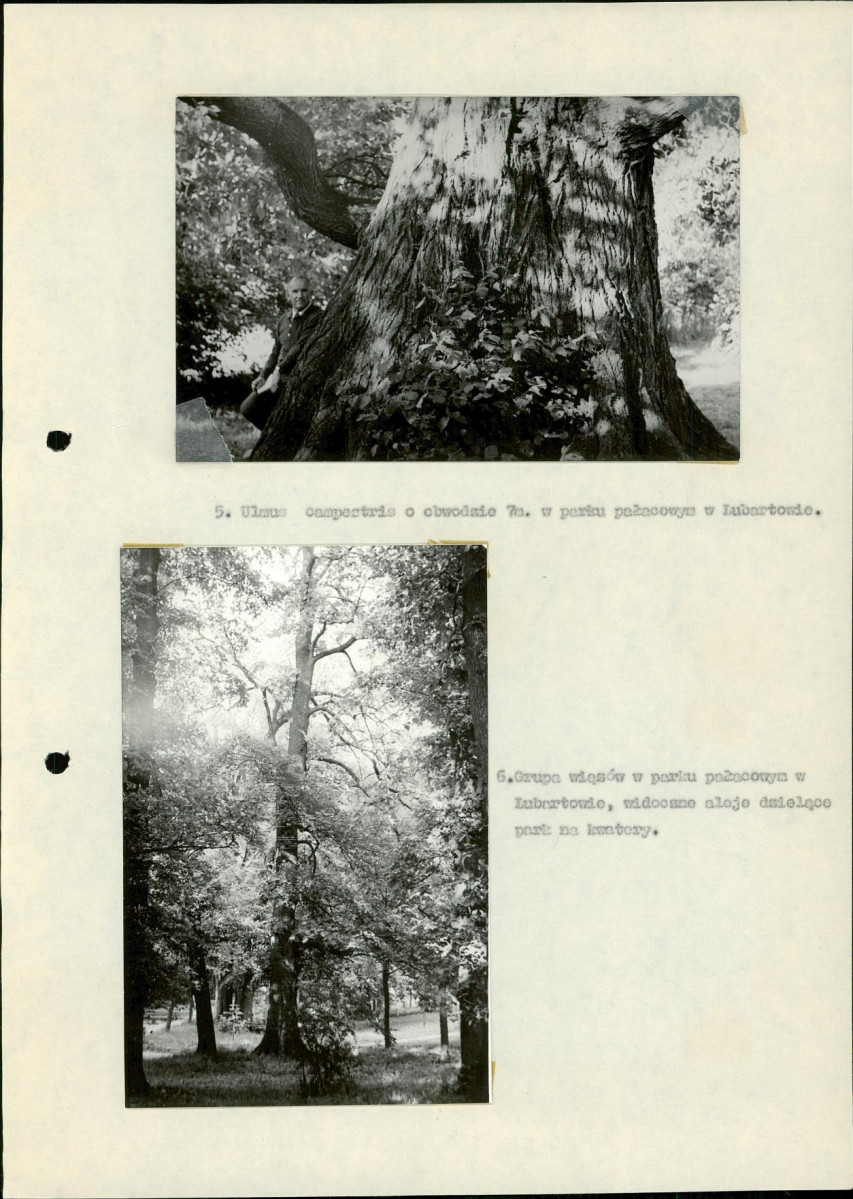 Ewidencja parkowa, skan nr 21