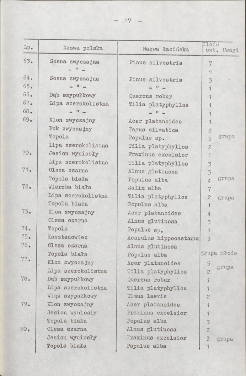 Ewidencja parkowa, skan nr 21