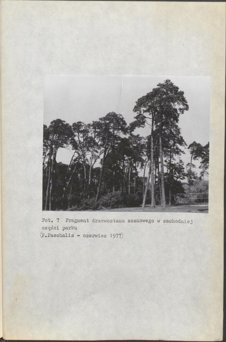 Ewidencja parkowa, skan nr 30