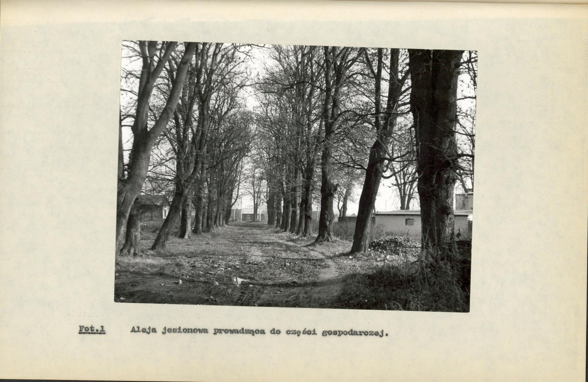 Ewidencja parkowa, skan nr 32