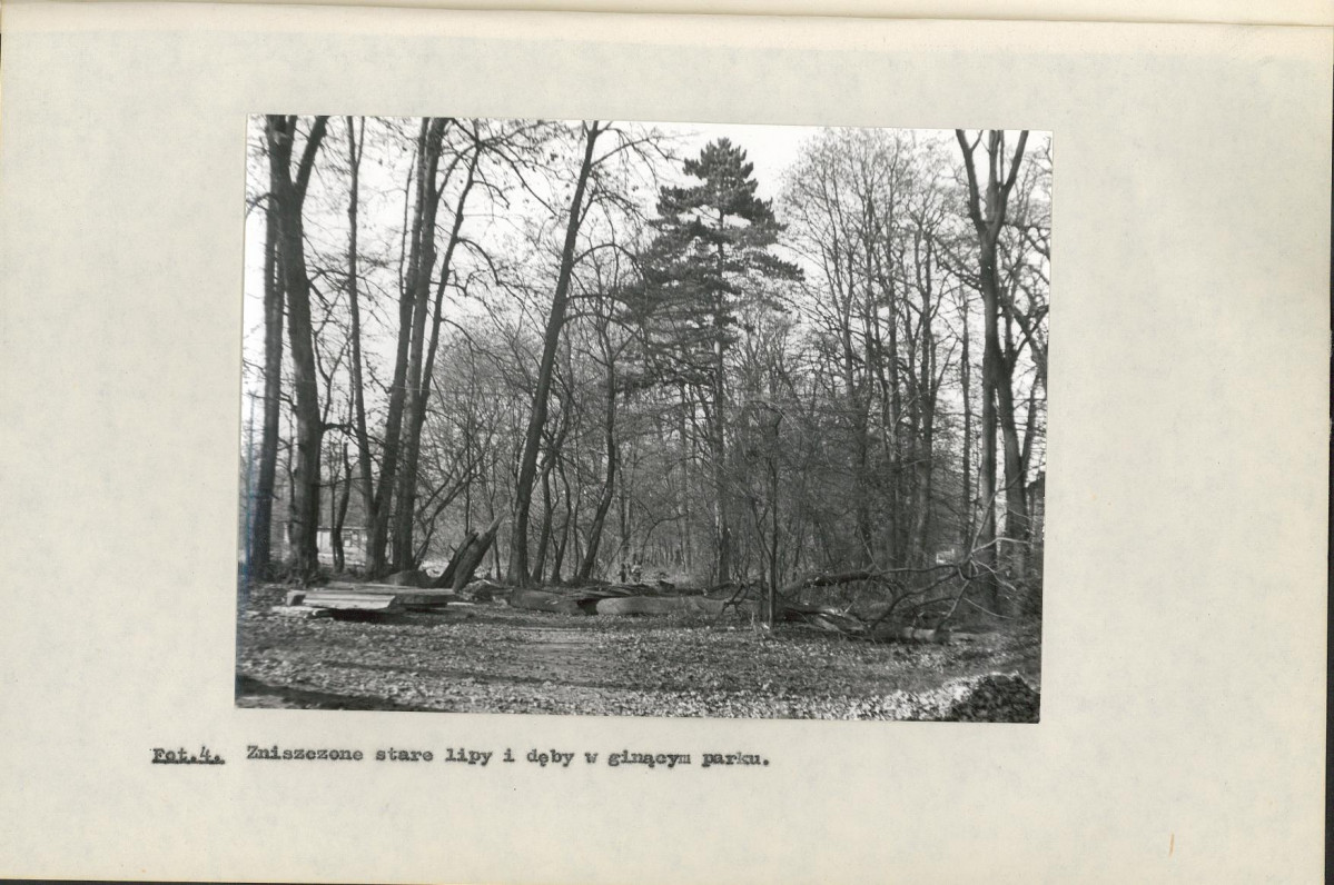 Ewidencja parkowa, skan nr 35