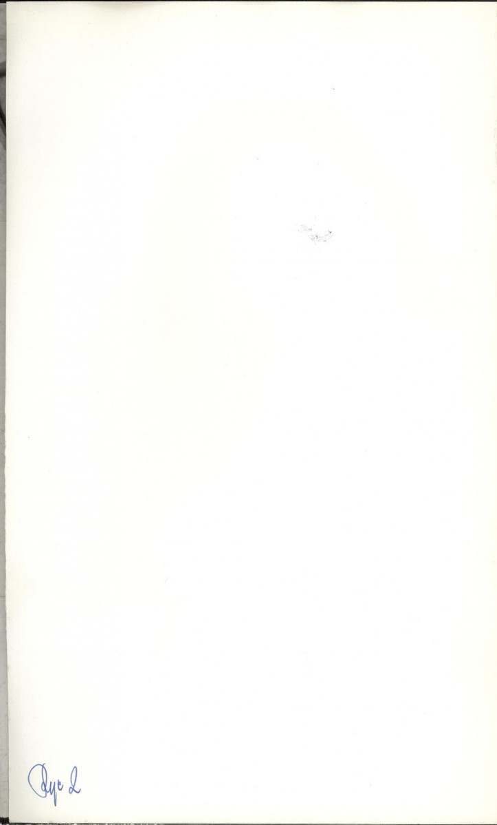Ewidencja parkowa, skan nr 17