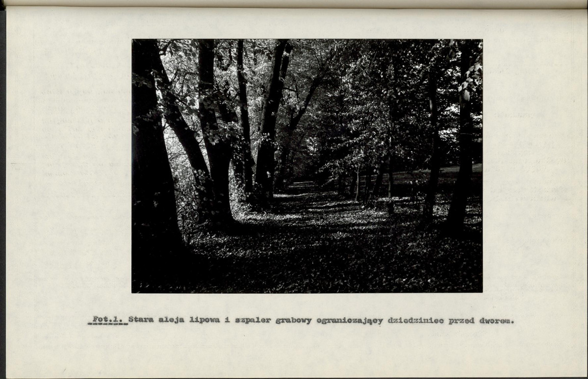 Ewidencja parkowa, skan nr 31