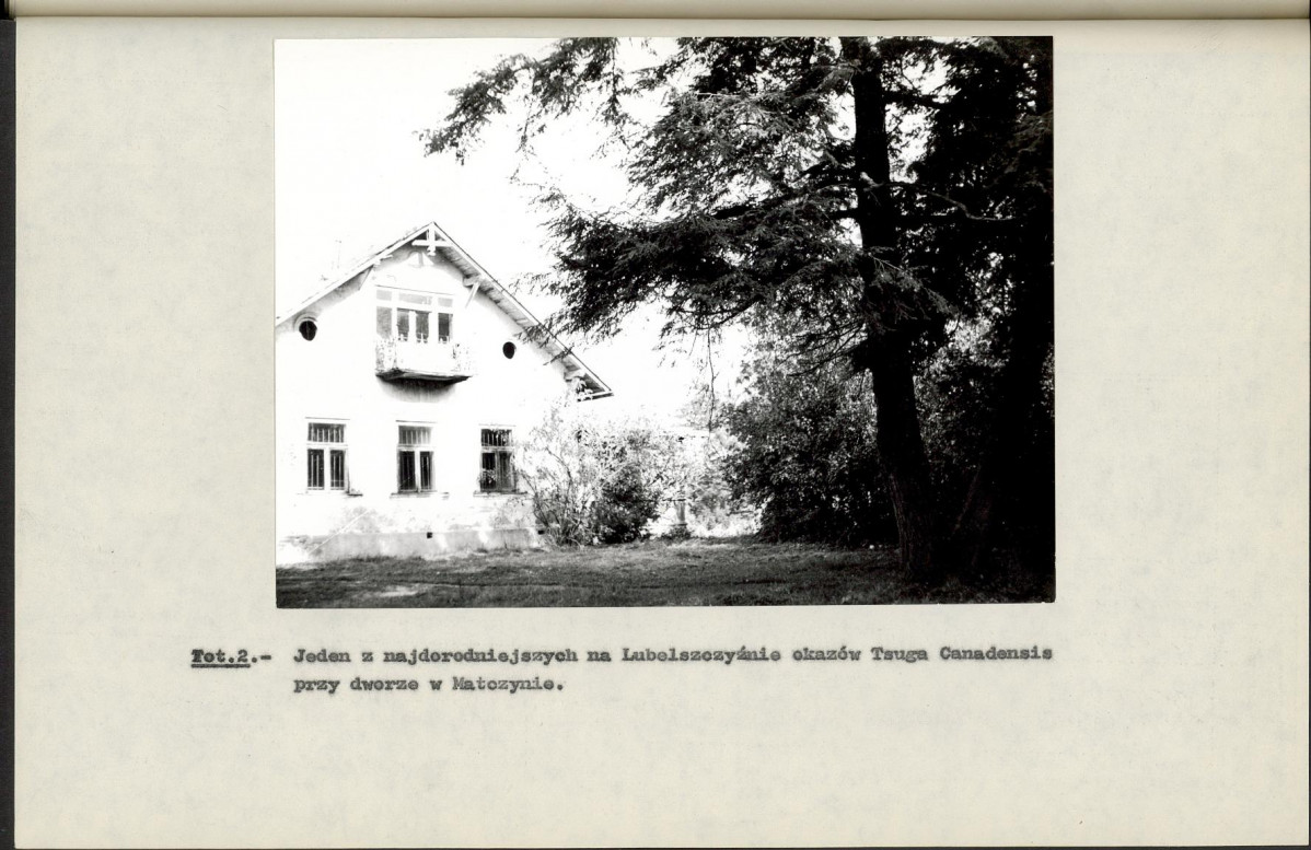 Ewidencja parkowa, skan nr 32