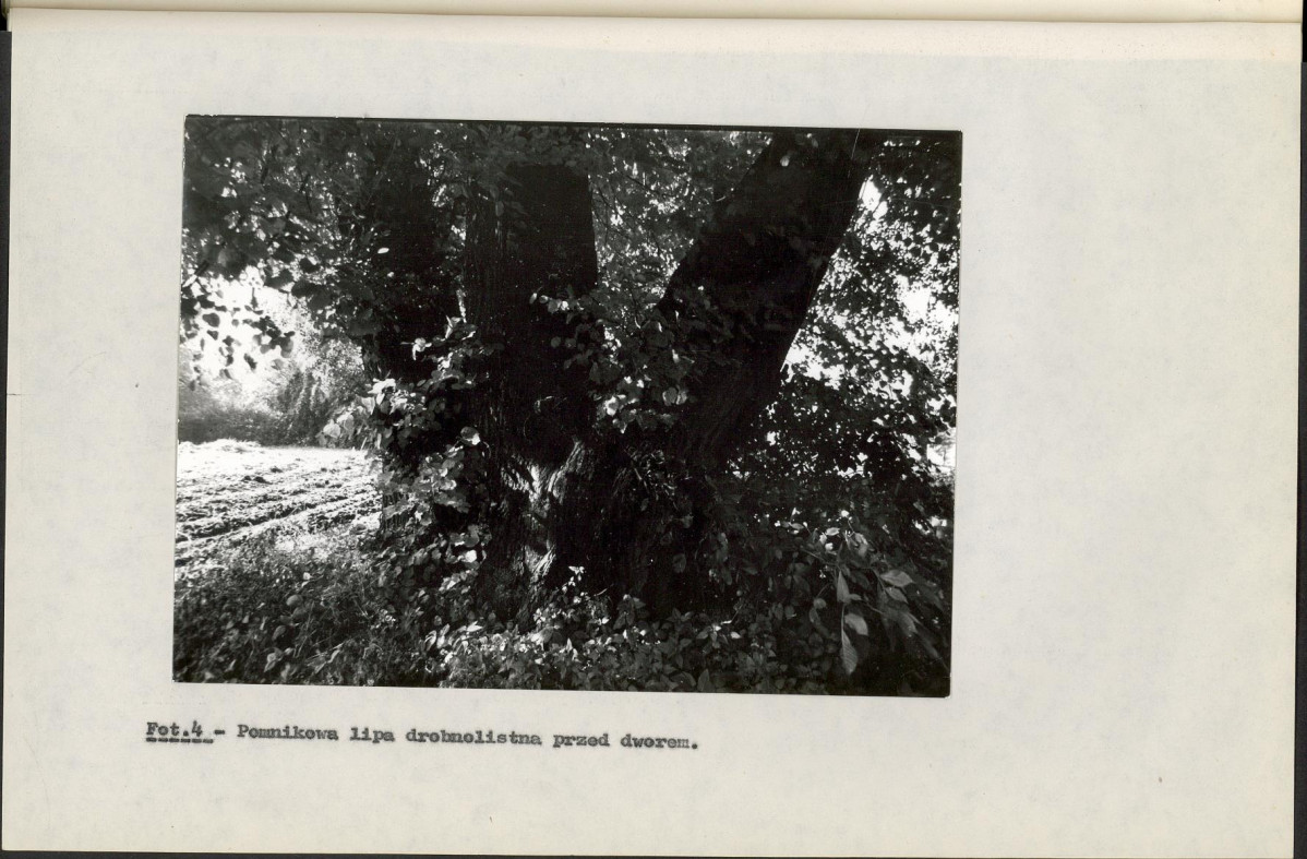 Ewidencja parkowa, skan nr 34
