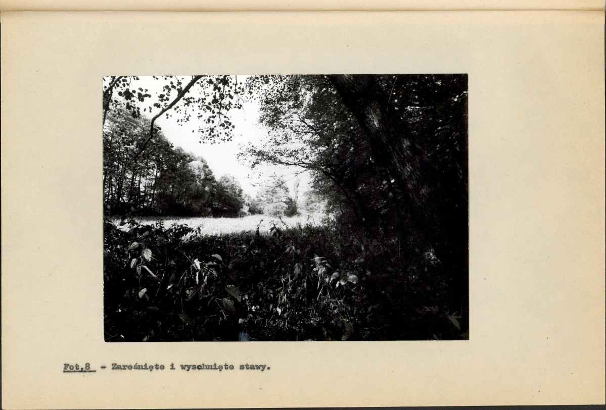 Ewidencja parkowa, skan nr 38