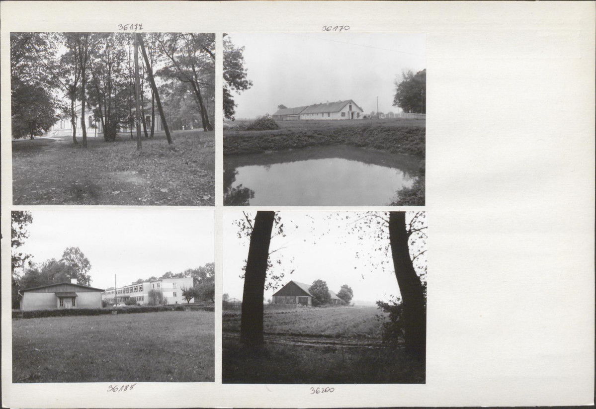 Karta biała, skan nr 6