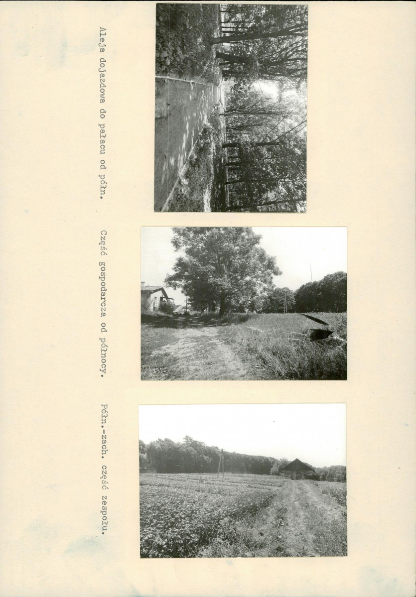 Karta biała, skan nr 8