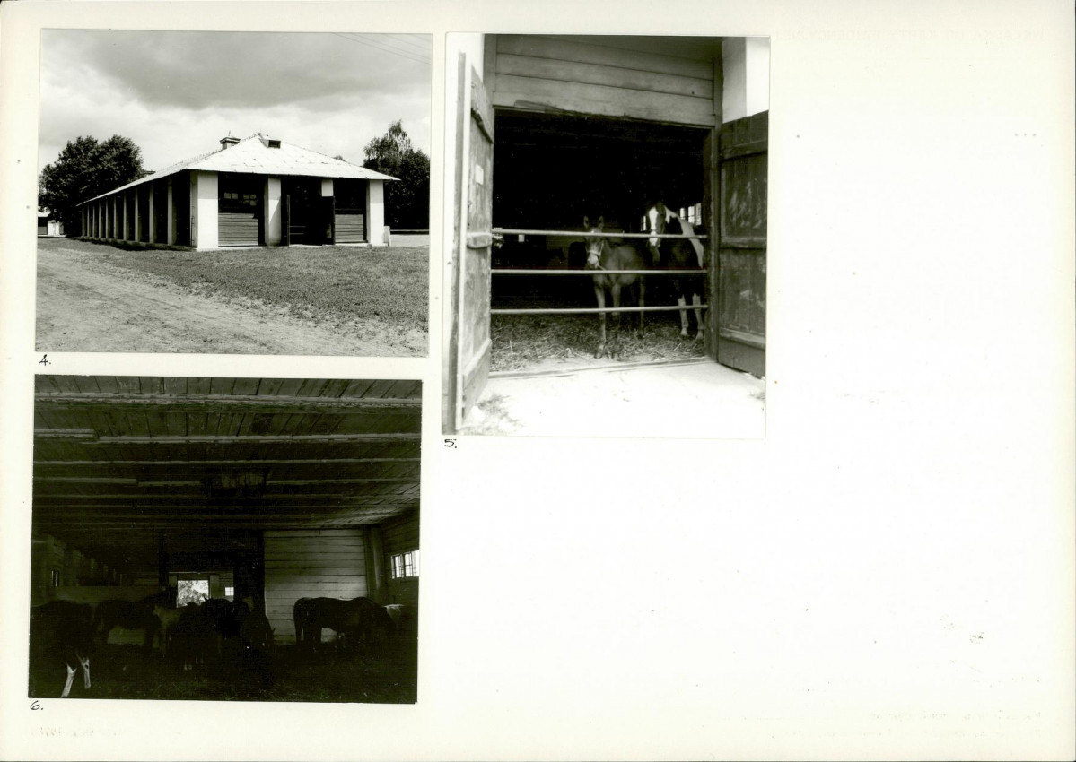 Karta biała, skan nr 6