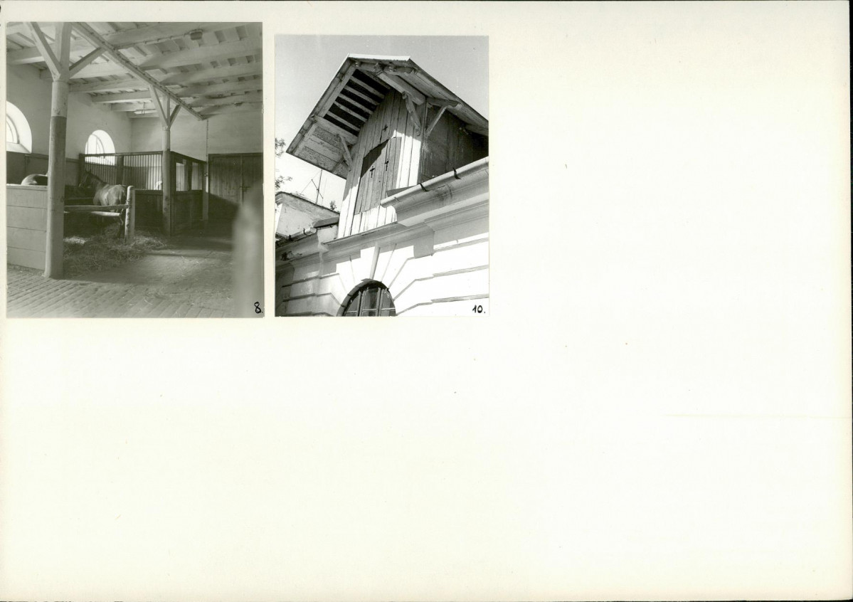 Karta biała, skan nr 8